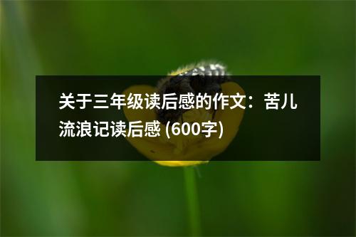關(guān)于三年級(jí)讀后感的作文：苦兒流浪記讀后感 (600字)