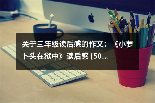 關(guān)于三年級(jí)讀后感的作文：《小蘿卜頭在獄中》讀后感 (500字)