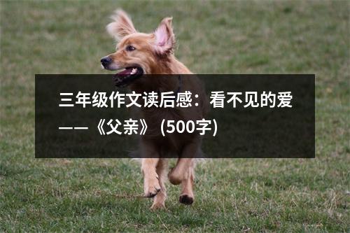 三年級(jí)作文讀后感：看不見(jiàn)的愛(ài)——《父親》 (500字)
