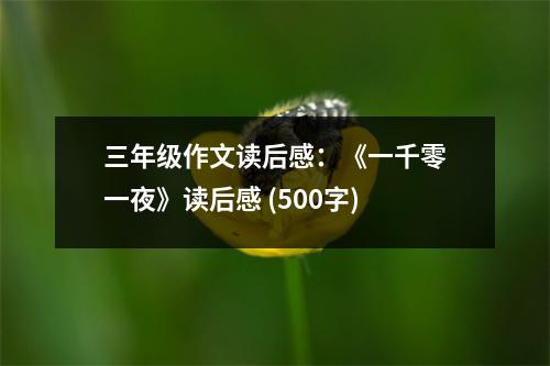 三年級作文讀后感：《一千零一夜》讀后感 (500字)