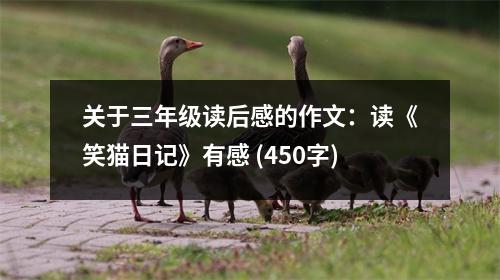 關(guān)于三年級(jí)讀后感的作文：讀《笑貓日記》有感 (450字)