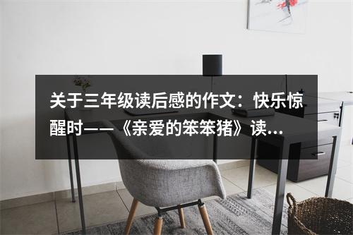 關(guān)于三年級(jí)讀后感的作文：快樂(lè)驚醒時(shí)——《親愛(ài)的笨笨豬》讀書(shū)心得 (500字)