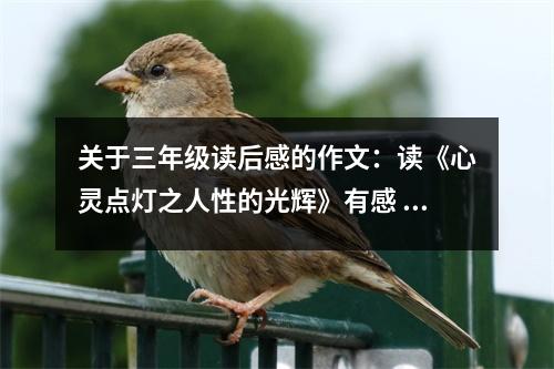 關(guān)于三年級(jí)讀后感的作文：讀《心靈點(diǎn)燈之人性的光輝》有感 (500字)