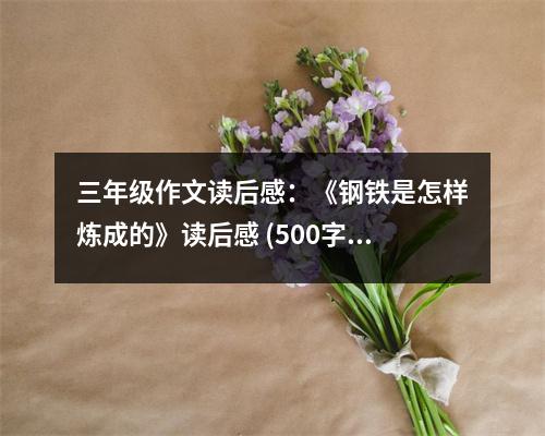 三年級(jí)作文讀后感：《鋼鐵是怎樣煉成的》讀后感 (500字)