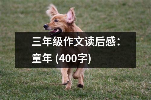 三年級(jí)作文讀后感：童年 (400字)