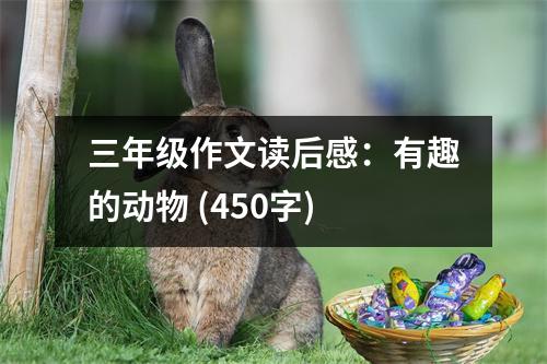 三年級(jí)作文讀后感：有趣的動(dòng)物 (450字)