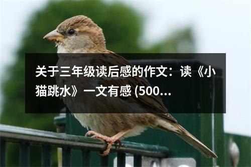 關(guān)于三年級(jí)讀后感的作文：讀《小貓?zhí)芬晃挠懈?(500字)