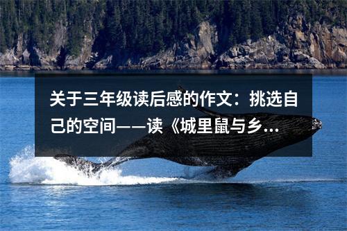 關(guān)于三年級(jí)讀后感的作文：挑選自己的空間——讀《城里鼠與鄉(xiāng)下鼠》有感 (550字)