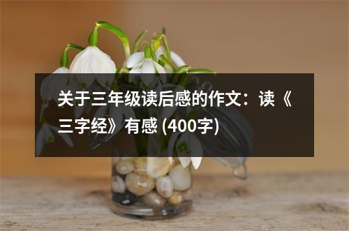 關(guān)于三年級(jí)讀后感的作文：讀《三字經(jīng)》有感 (400字)