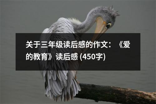 關(guān)于三年級(jí)讀后感的作文：《愛的教育》讀后感 (450字)