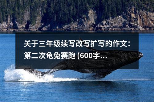 關(guān)于三年級(jí)續(xù)寫改寫擴(kuò)寫的作文：第二次龜兔賽跑 (600字)