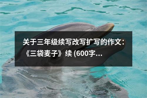 關(guān)于三年級(jí)續(xù)寫(xiě)改寫(xiě)擴(kuò)寫(xiě)的作文：《三袋麥子》續(xù) (600字)