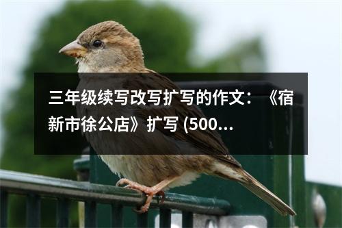 三年級續(xù)寫改寫擴寫的作文：《宿新市徐公店》擴寫 (500字)
