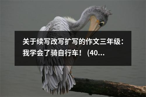 關于續(xù)寫改寫擴寫的作文三年級：我學會了騎自行車！ (400字)