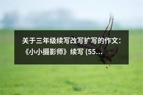 關于三年級續(xù)寫改寫擴寫的作文：《小小攝影師》續(xù)寫 (550字)