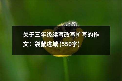 關于三年級續(xù)寫改寫擴寫的作文：袋鼠進城 (550字)