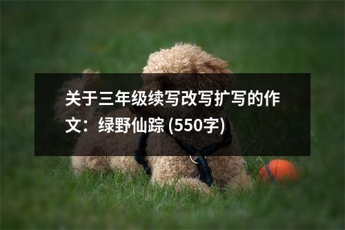 關于三年級續(xù)寫改寫擴寫的作文：綠野仙蹤 (550字)
