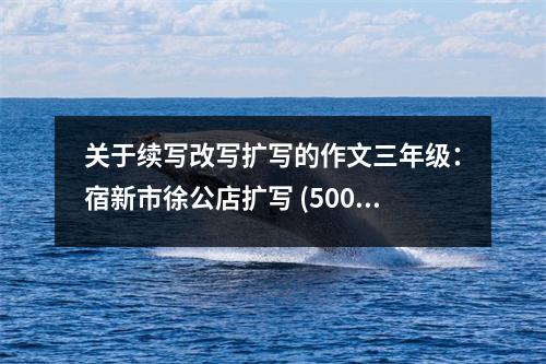 關于續(xù)寫改寫擴寫的作文三年級：宿新市徐公店擴寫 (500字)