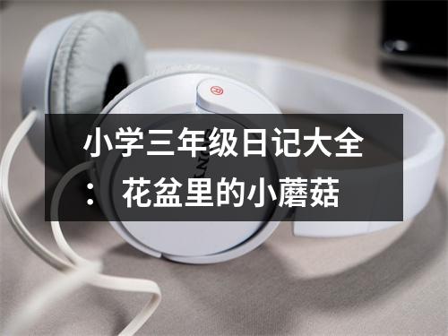 小學(xué)三年級日記大全： 花盆里的小蘑菇