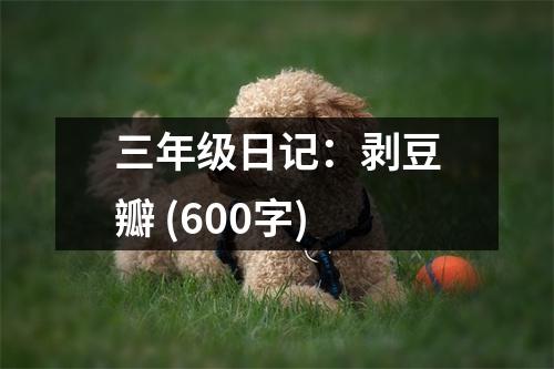 三年級(jí)日記：剝豆瓣 (600字)