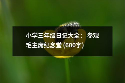 小學(xué)三年級日記大全： 參觀毛主席紀念堂 (600字)