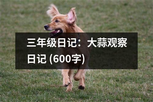 三年級(jí)日記：大蒜觀察日記 (600字)