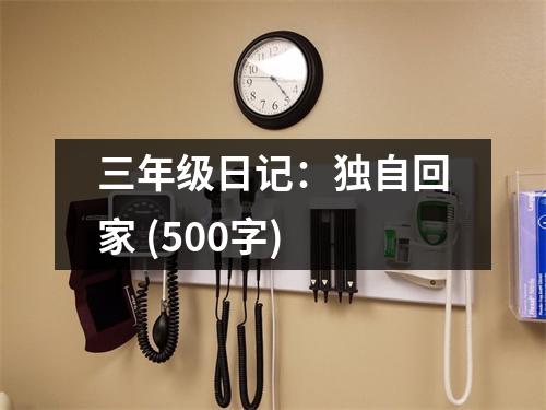 三年級日記：獨自回家 (500字)