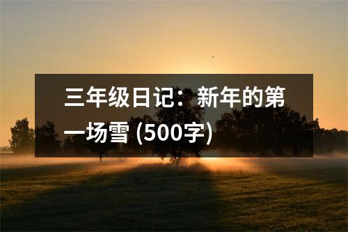 三年級日記：新年的第一場雪 (500字)