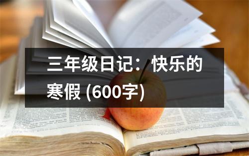 三年級日記：快樂的寒假 (600字)