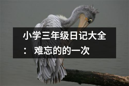 小學(xué)三年級日記大全： 難忘的的一次