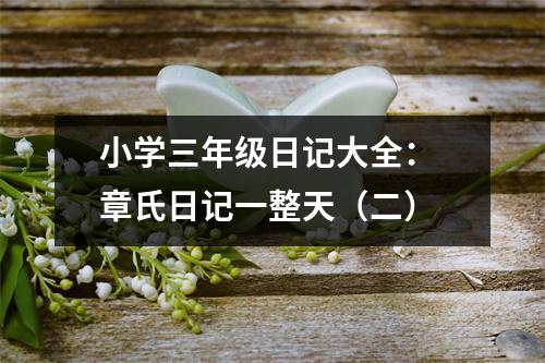 小學(xué)三年級(jí)日記大全： 章氏日記一整天（二）