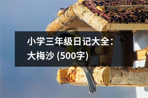 小學(xué)三年級日記大全： 大梅沙 (500字)