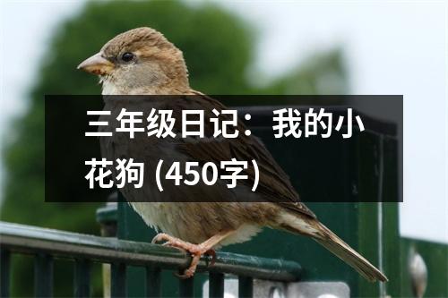 三年級日記：我的小花狗 (450字)