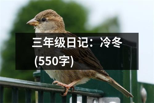 三年級日記：冷冬 (550字)