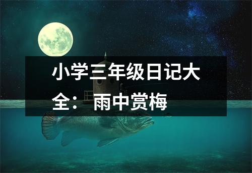 小學(xué)三年級日記大全： 雨中賞梅