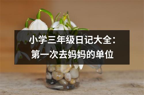 小學三年級日記大全： 第一次去媽媽的單位