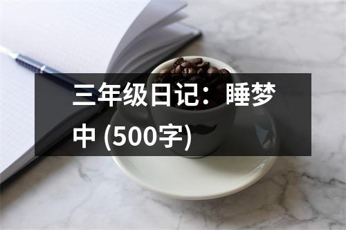 三年級日記：睡夢中 (500字)
