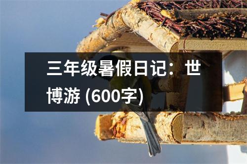 三年級暑假日記：世博游 (600字)