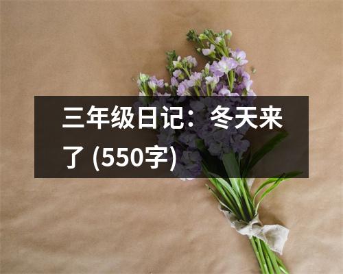三年級日記：冬天來了 (550字)