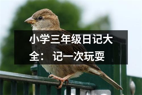 小學三年級日記大全： 記一次玩耍