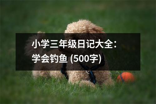 小學(xué)三年級(jí)日記大全： 學(xué)會(huì)釣魚(yú) (500字)