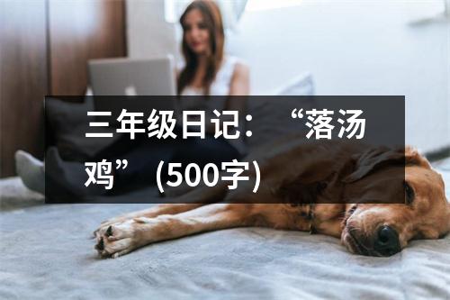 三年級日記：“落湯雞” (500字)
