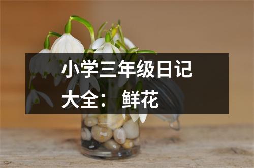小學三年級日記大全： 鮮花