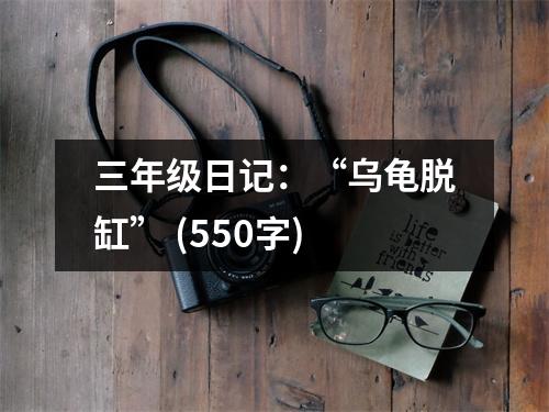 三年級日記：“烏龜脫缸” (550字)