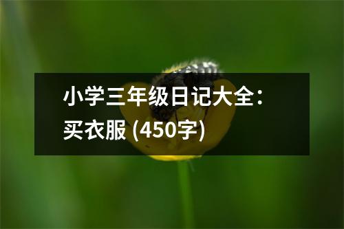 小學(xué)三年級日記大全： 買衣服 (450字)