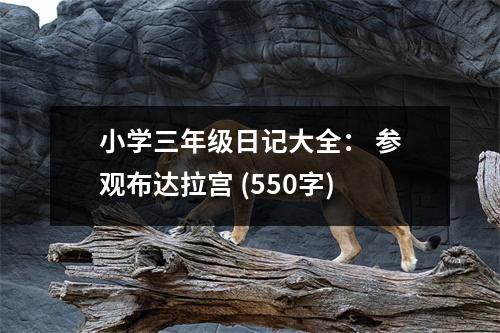 小學(xué)三年級(jí)日記大全： 參觀布達(dá)拉宮 (550字)