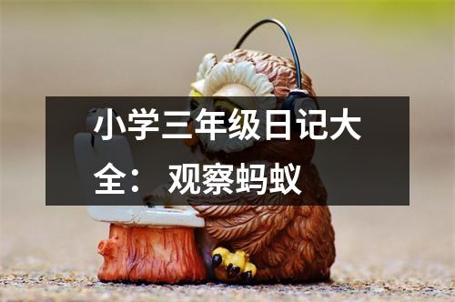 小學(xué)三年級日記大全： 觀察螞蟻
