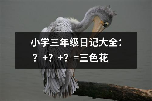 小學(xué)三年級(jí)日記大全： ？+？+？=三色花