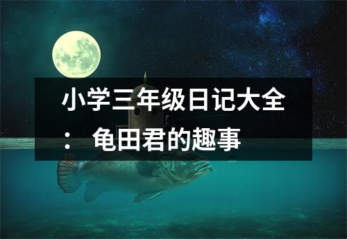小學三年級日記大全： 龜田君的趣事