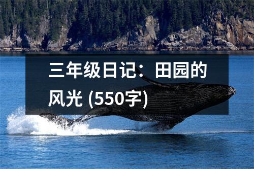 三年級(jí)日記：田園的風(fēng)光 (550字)